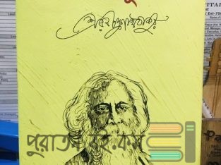 নৌকাডুবি