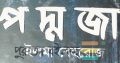 প দ্ম জা উপন্যাস