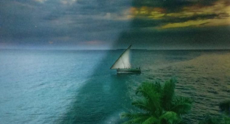 অভিযাত্রী